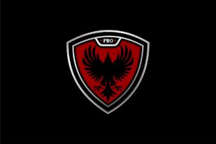 Download Raven Pro Gamer - Gamer Collection